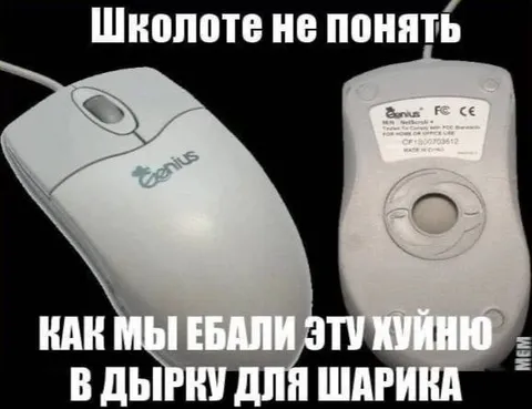 Школоте не понять про мышь