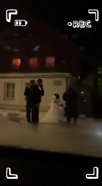 Снежное ночное приключение