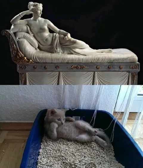 Котёнок в позе статуи
