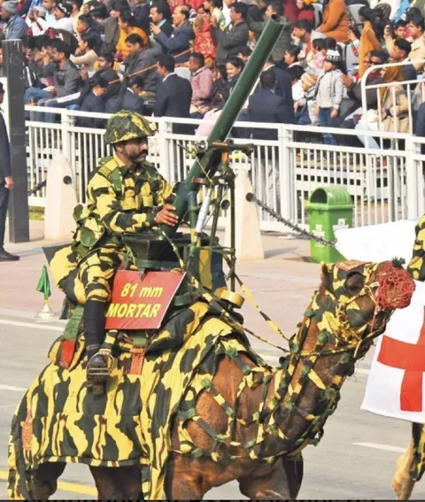 Camel-Mounted 81 mm Mortar