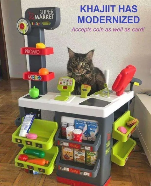 Khajiit Modernized Supermarket