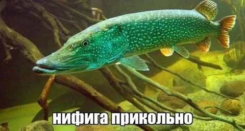 Нифига прикольно