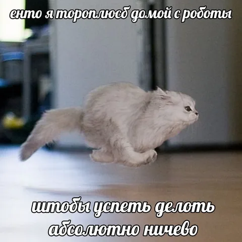 Тороплюсь домой без дела