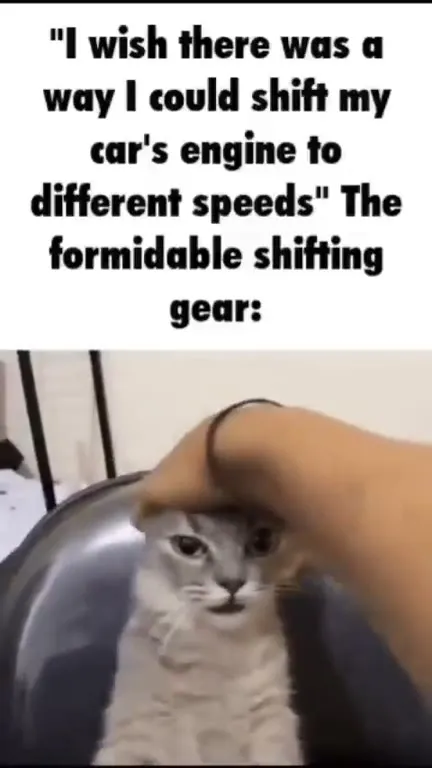Cat as a Gear Shifter