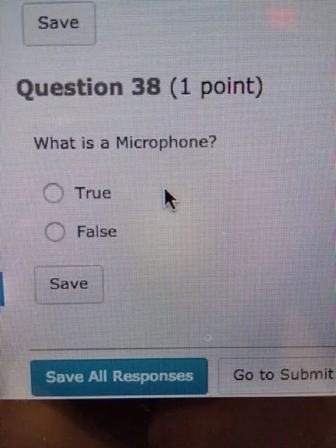 What Is a Microphone Quiz