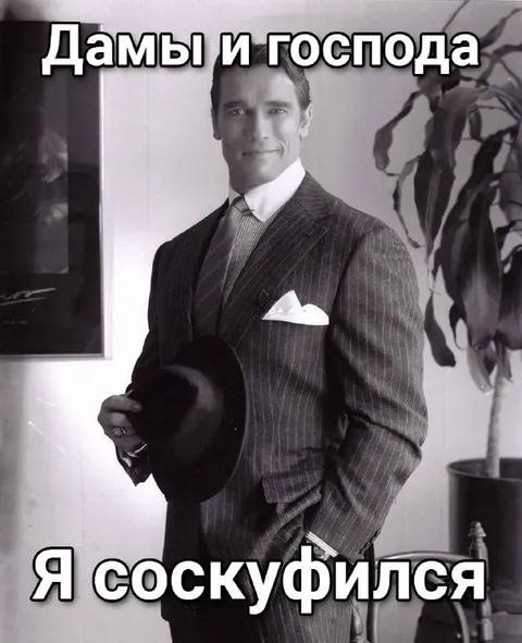 Дамы и господа, я соскуфился