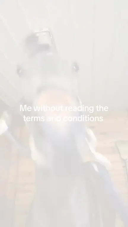 Donkey Without Reading Terms