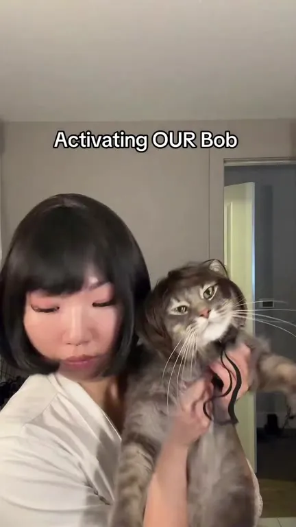 Activating Our Bob Cat