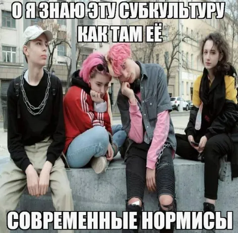 Современные нормисы и субкультура