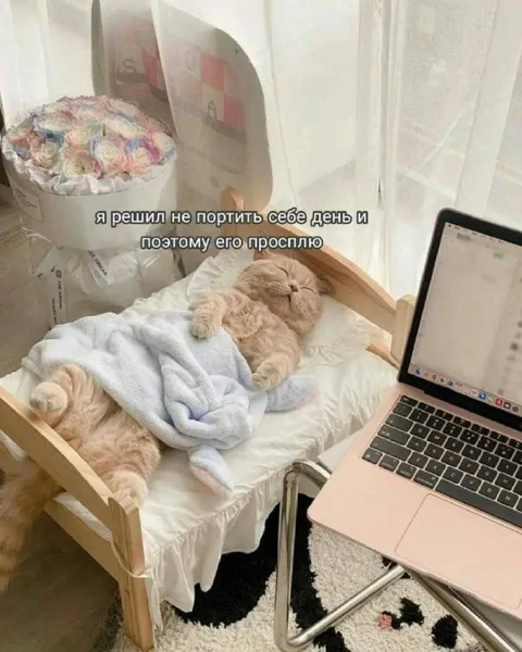 Проспать плохой день
