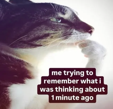 Cat Trying to Remember