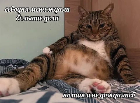 Большие дела так и не дождались