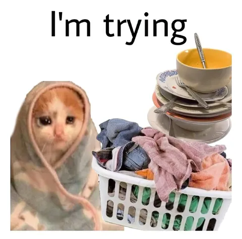 I'm Trying Meme