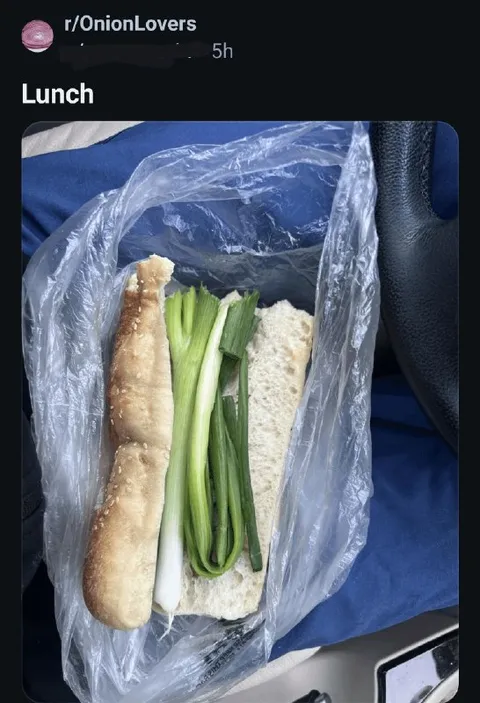 Lunch With Only Onions