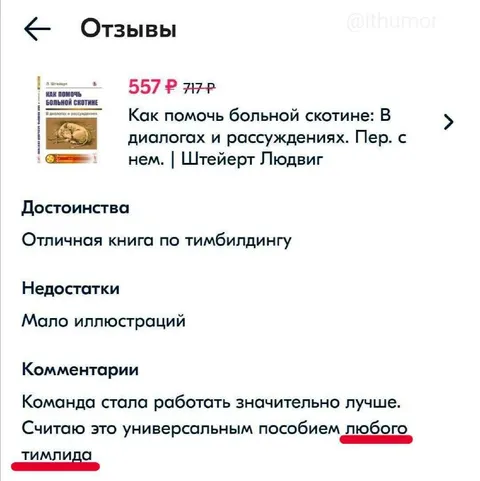 Универсальное пособие тимлида