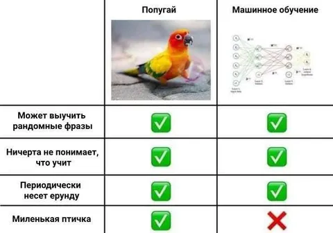 Попугай против машинного обучения