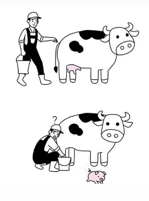 Confused Cow Milking
