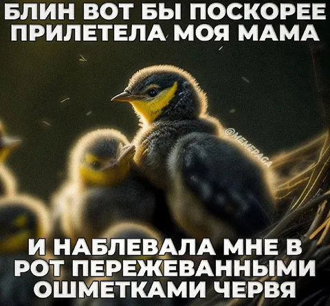 Птенец ждёт маму с червями