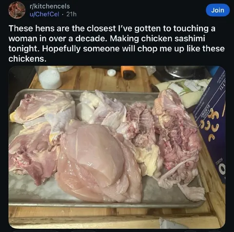 Chicken Sashimi and Loneliness