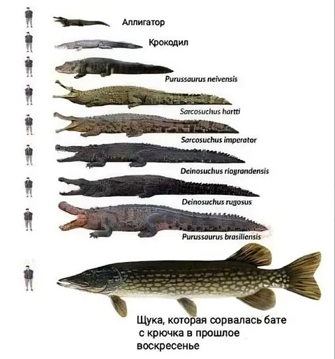Щука сорвалась с крючка