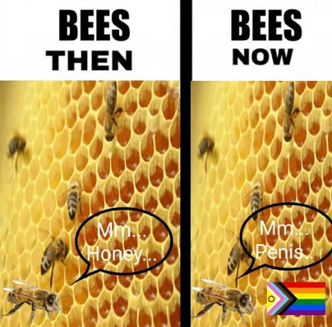 Bees Then vs Bees Now