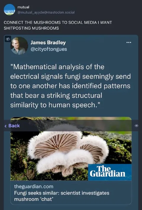 Shitposting Mushrooms on Social Media