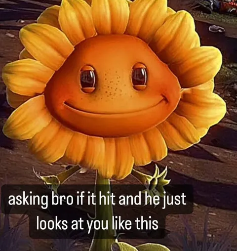 Sunflower Bro Just Looks At You