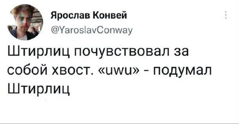 Штирлиц и хвост