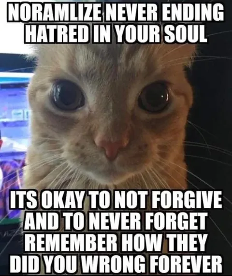 Never Forgive Never Forget Cat