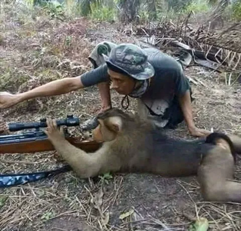 Обучение боевого примата