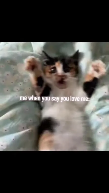 Me When You Say You Love Me