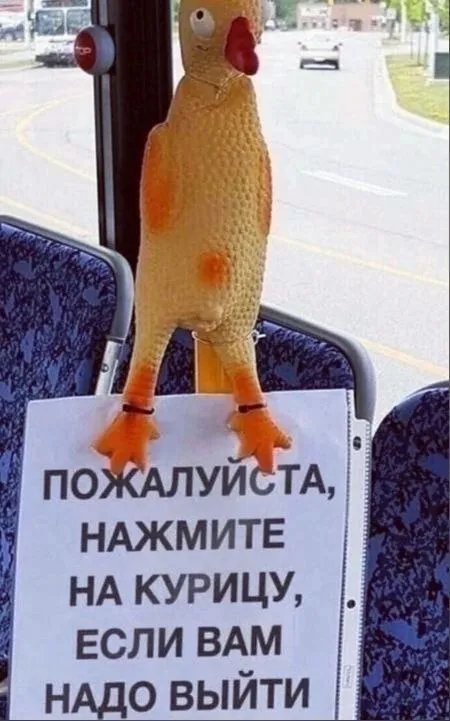 Нажмите на курицу