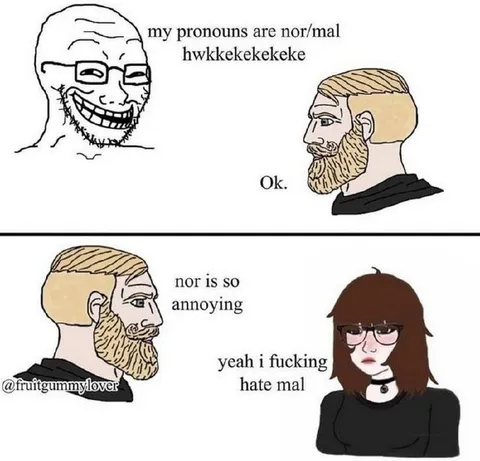 My Pronouns Are Nor Mal