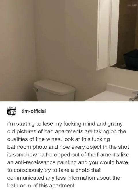Anti-Renaissance Bathroom Photo