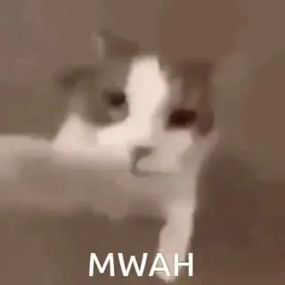 Cat Blows a Kiss