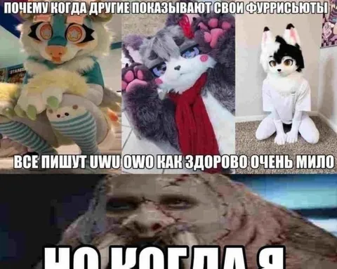 Когда другие показывают фурри-костюмы