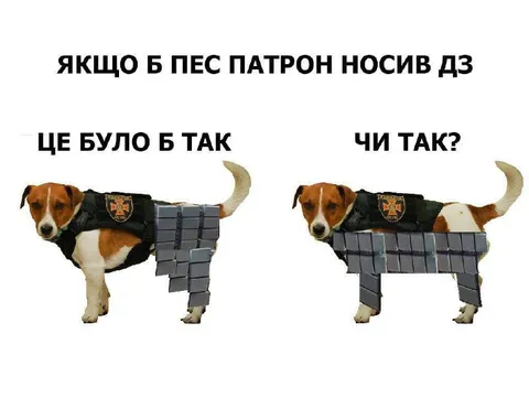 Пес Патрон носив би ДЗ