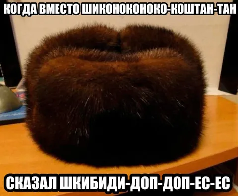 Шкибиди-доп-доп-ес-ес