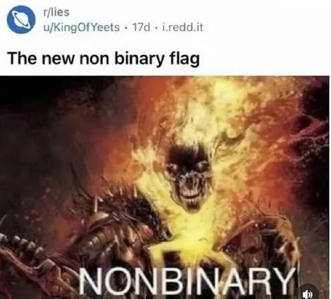 The New Non-Binary Flag