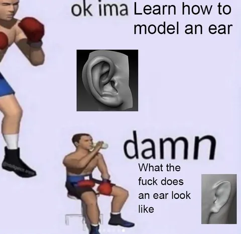 What Does an Ear Look Like