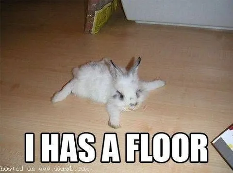 I Has a Floor Cat