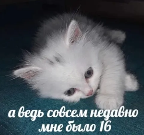 А ведь совсем недавно мне было 16