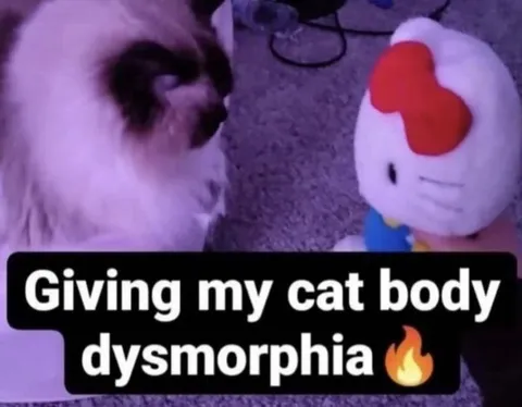 Giving My Cat Body Dysmorphia