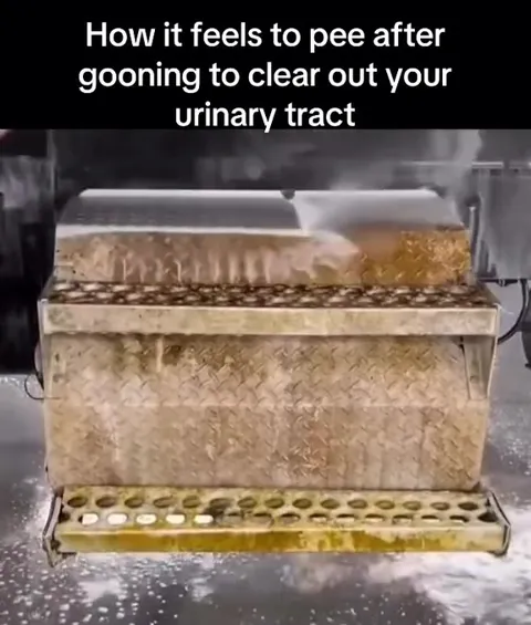 Peeing After Clearing Your Tract