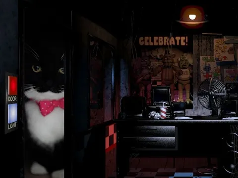 Black Cat at the Security Door