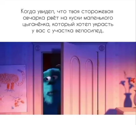 Салли узнал про кражу велосипеда