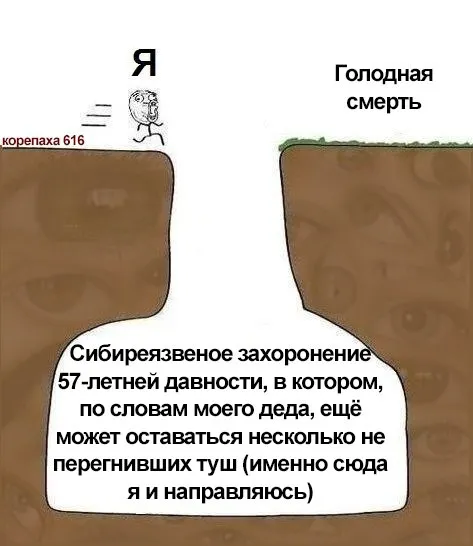 Сибирское захоронение туш