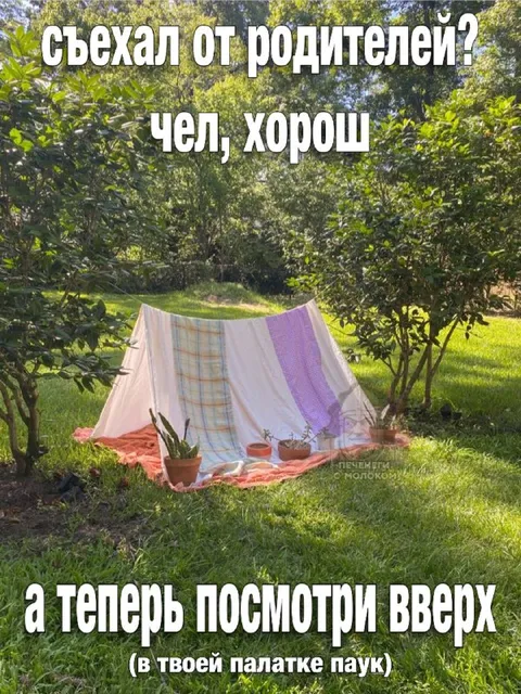 Палатка с пауком