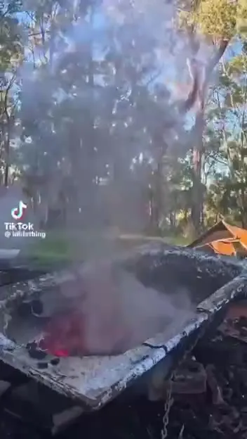 Beans Fired From a Cannon