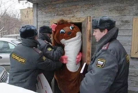 Полиция задерживает талисман